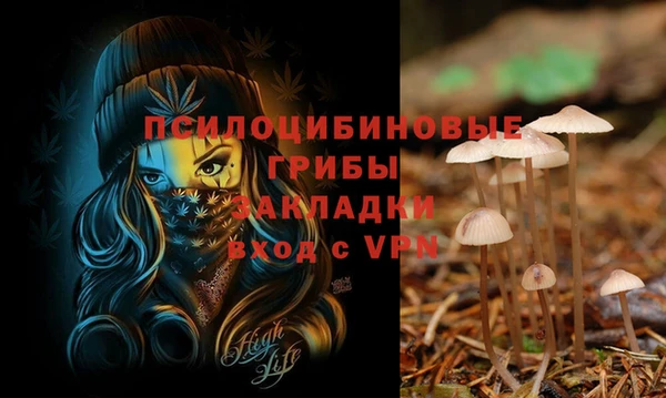 spice Баксан