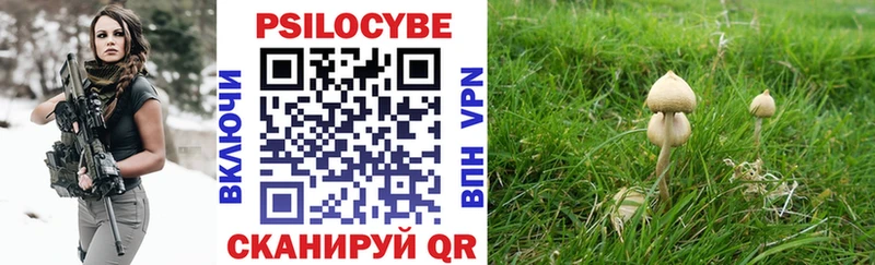 Галлюциногенные грибы прущие грибы  Венёв 