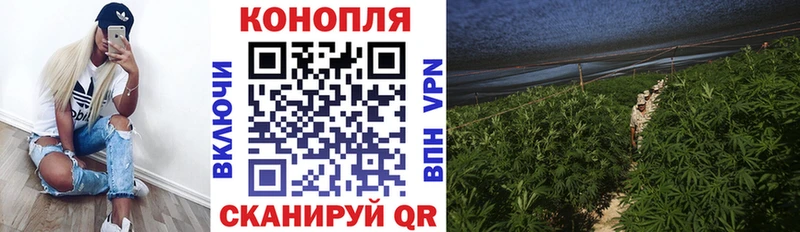 Канабис индика  где найти   Венёв 